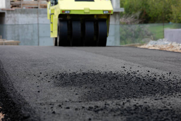 Best Local Driveway Pavers  in Inverness Highlands North, FL